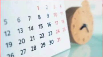 عدد الإجازات.. تعرف على تفاصيل العطلات الرسمية والأسبوعية للموظفين في نوفمبر 2025